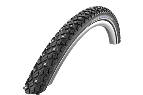 Schwalbe Winter